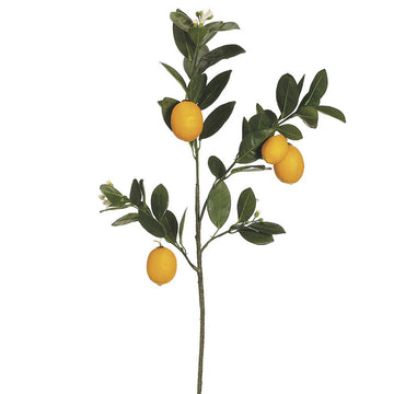 Vara De Limon Amarillo
